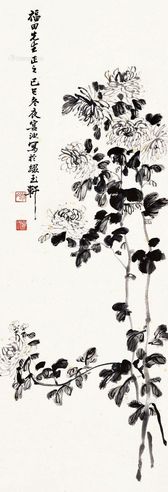 凌宴池 菊花图