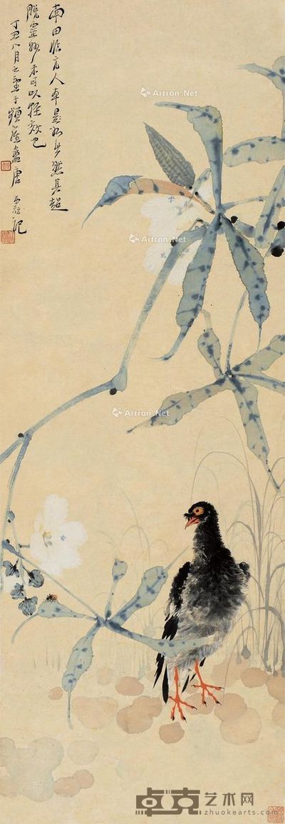 唐云 秋葵鸽子 97×33cm