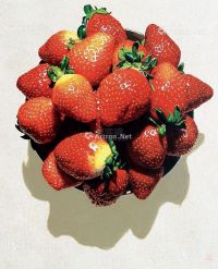 郑昌基 2012 2013年作 草莓 布面油画