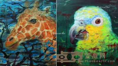 杨兴军 2014年作 肖像·长颈鹿 肖像·鹦鹉 布面油画 60×50cm