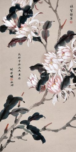 林贤静 昙花