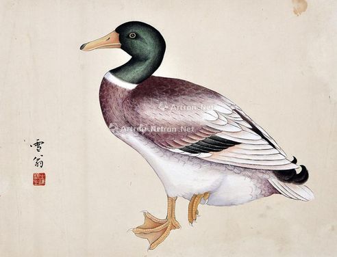 陈之佛 鸭