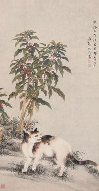 沈铨 花卉猫