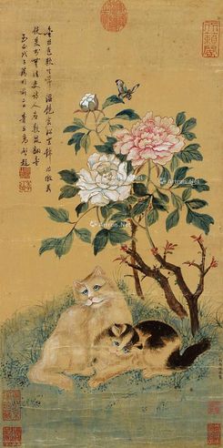 赵昌 双猫