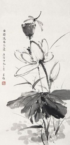 杨大名 荷花蜻蜓