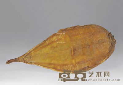 百年珍藏越南鳘鱼肚 长41cm；宽18cm