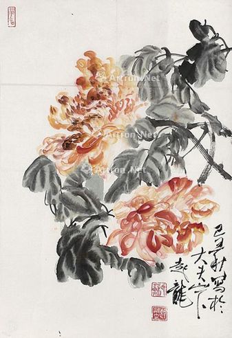 苏起龙 花卉