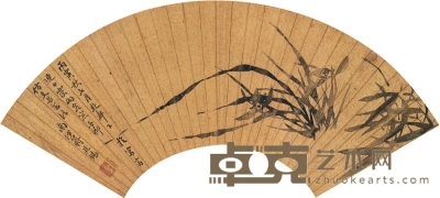 蒋廷锡 墨兰 47×15.5cm