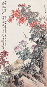 马万里 菊花