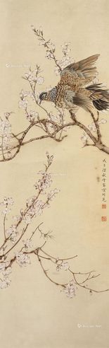 陈之佛 斑鸠杏花图