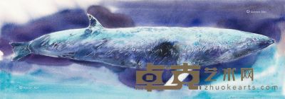 白露洋 鱼 50×150cm