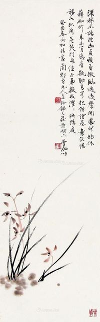 沙曼翁 兰花