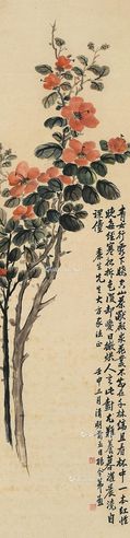 杨令茀 山茶花