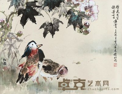 赵松筠 鸳鸯 47.5×61cm
