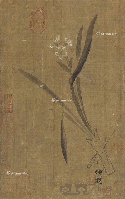 赵雍 兰花 32×21cm