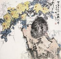 伍启中 猫