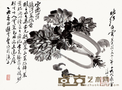 胡定九 临赵云壑白菜 30*22