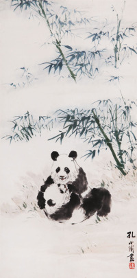 孔小瑜 熊猫