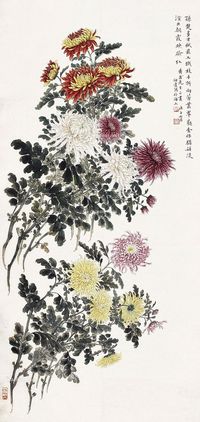 顾伯达 菊花