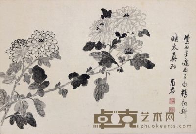 蒋廷锡 花卉 39×27cm