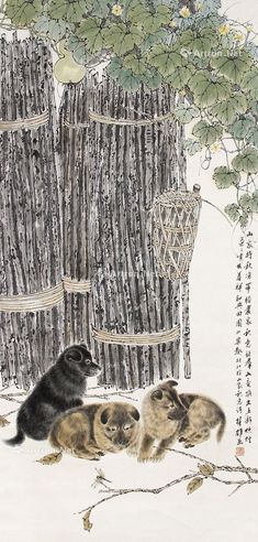 方楚雄 狗