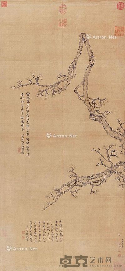 张照 梅花 116×53cm