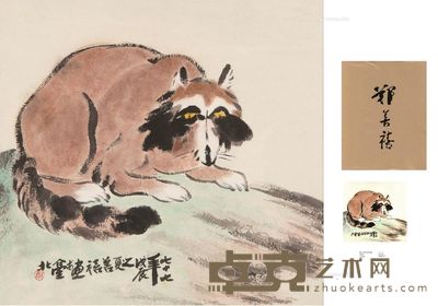 郑善禧 趴在石头上的浣熊 45×47cm