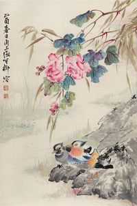 柳滨 红花鸳鸯