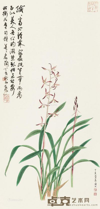 吴美美 春兰 100×47cm
