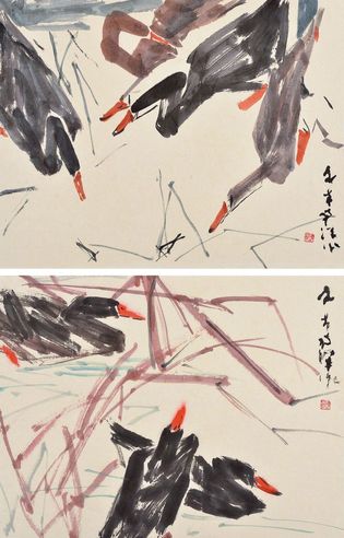 陈文希 鸭