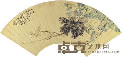 胡锡珪 黑花魁图 51×18cm