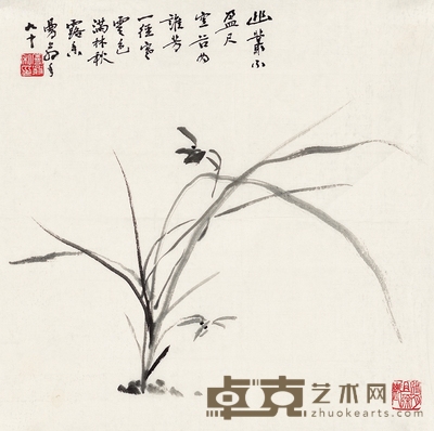 沙曼翁 墨兰 36.5×36.5cm