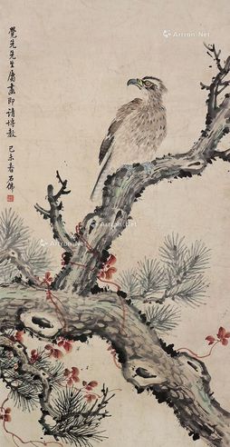 赵浩公 松鹰