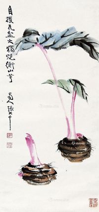 张大千 山芋