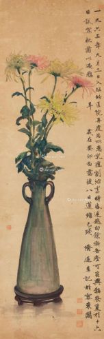 王济远 瓶菊