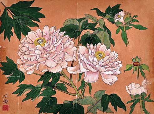 赵浩公 牡丹