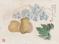 王师子 解暑佳品