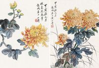 黄山寿 秋菊