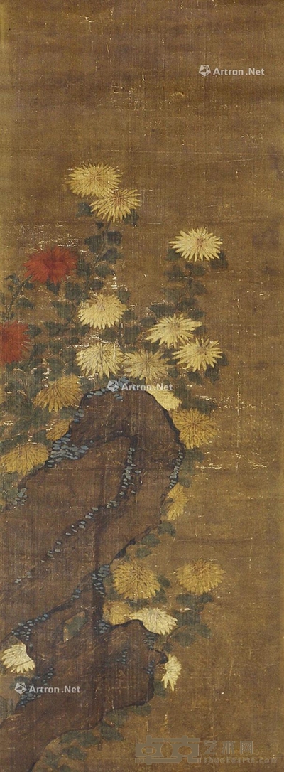 佚名 菊石图 107×40cm
