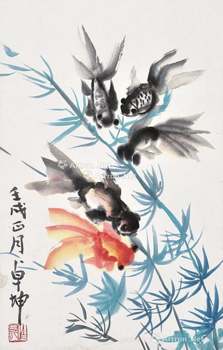陈卓坤     金鱼