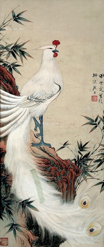 田世光     凤凰