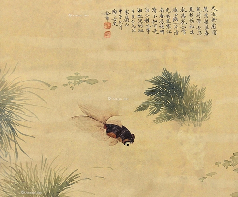金章     金鱼