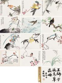 王师子 花鸟草虫写生册