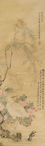 张大壮 花鸟