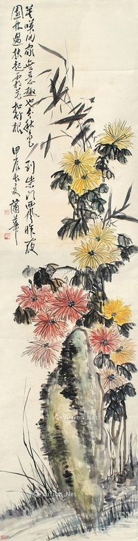 蒲华 花卉