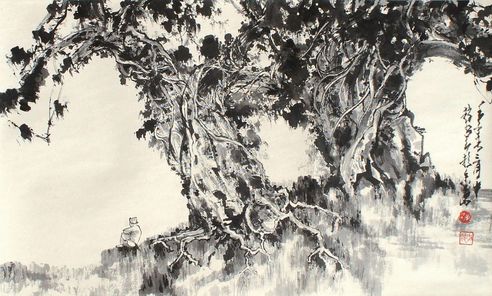 赵少昂 松