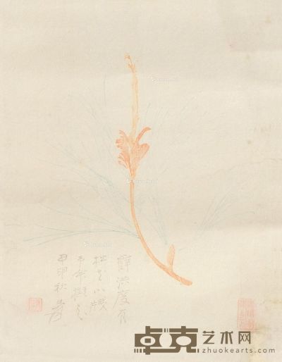 张大千 花卉 28×16cm