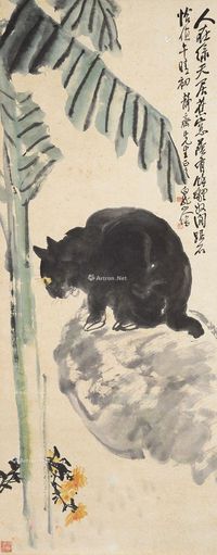 王震 猫