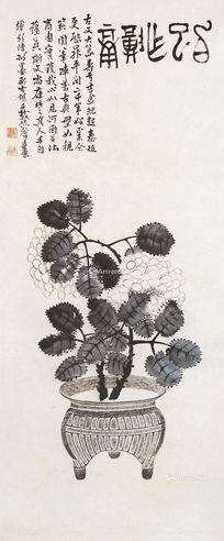 吴廷康 花卉