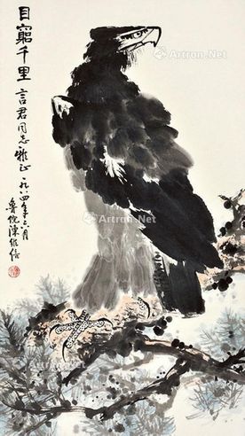 陈维信 鹰